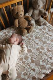 Toile Storybook Fitted Crib Sheet Beige Neutral Cotton - thumbnail 1