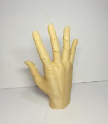 3D Printed Posable Hand Regular Size Movable Jointed Mannequin