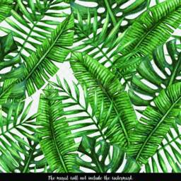 Tropical Leaves Removable Wallpaper, Peel & Stick, Jungle Monstera, Traditional, Self Adhesive, Wall Decor #139 - thumbnail 3