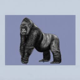 Western Lowland Silverback Gorilla A4 Art Print in Purple // Print, Wall Decor, Colourful Animal Art, Wildlife Conservation Gift - thumbnail 2