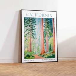 Redwood National Park California Travel Print - thumbnail 3
