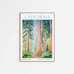 Redwood National Park California Travel Print - thumbnail 2