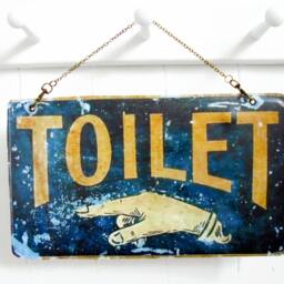Reversible Toilet Sign Vegan Eco Gift, Wipe Clean Vinyl Wall Art - thumbnail 3