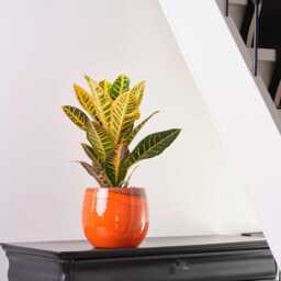 Handmade Orange Xl Ceramic Plant Pot Charlotte Retro Indoor Planter, - D16cm-D33cm - thumbnail 2