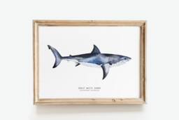 Great White Shark Hand Painted Watercolour Art - Beach House Wall D??cor Gift For Shark Lovers Carcharodon Carcharias Poster/Print - thumbnail 1