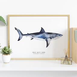 Great White Shark Hand Painted Watercolour Art - Beach House Wall D??cor Gift For Shark Lovers Carcharodon Carcharias Poster/Print - thumbnail 2