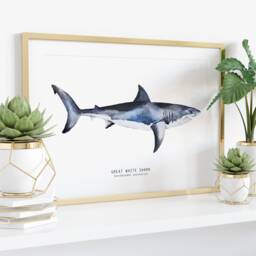 Great White Shark Hand Painted Watercolour Art - Beach House Wall D??cor Gift For Shark Lovers Carcharodon Carcharias Poster/Print - thumbnail 3