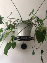 Sunburst Wall Mount Hanging Plant Holder Shelf - Medium/Large