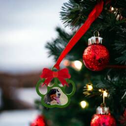 Paw Shape Christmas Tree Ornament With Photo, Any Photo Ornament, Custom Bauble - thumbnail 3