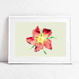 Alaska Rose Art Print, Digital Download, Printable Poster, Wildflower Wall Art, & Gold, Nursery Print - thumbnail 1