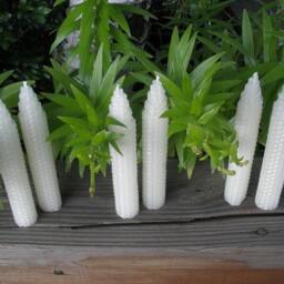 Pure Beeswax Taper Candles. Set Of 6 - thumbnail 2