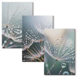 Canvas Wall Art Set Of 3 - Drops Water On The Delicate Shoots Dandelions, Blue Large, Plants & Flowers Decor - thumbnail 1