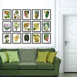 Banana Botanical Art Print, Tropical Kitchen Wall Decor - thumbnail 3