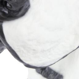 Great Dane, Deutsche Dogge - Uncropped, Color, Dog Big Head Statue, Limited Edition, Artdog - thumbnail 2