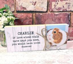 Guinea Pig Memorial Gift, Pet Memorial, Gift, Frame, Plaque, Photo Remembrance - thumbnail 1