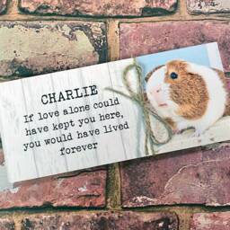 Guinea Pig Memorial Gift, Pet Memorial, Gift, Frame, Plaque, Photo Remembrance - thumbnail 2
