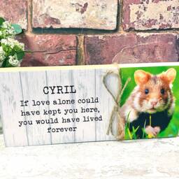 Guinea Pig Memorial Gift, Pet Memorial, Gift, Frame, Plaque, Photo Remembrance - thumbnail 3