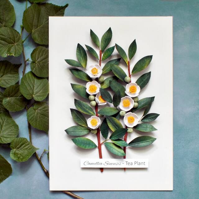 Tea Plant Wall Art - Lover Gift Camellia Sinensis Kitchen Decor Mother's Day Idea 3D Paper Quilling Botanical - image 1