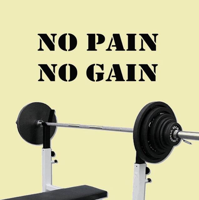 No Pain Gain Exercise Workout Gym Health & Fitness Vinyl Lettering Wall Art Quotes Decal - Vwaq - image 1