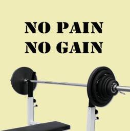 No Pain Gain Exercise Workout Gym Health & Fitness Vinyl Lettering Wall Art Quotes Decal - Vwaq - thumbnail 1