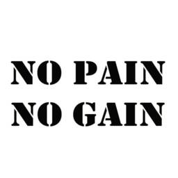 No Pain Gain Exercise Workout Gym Health & Fitness Vinyl Lettering Wall Art Quotes Decal - Vwaq - thumbnail 2