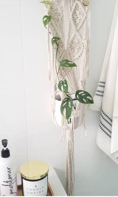 Macrame Plant Hanger /Plant Hanger/ Wall Hanging - Willow - image 1