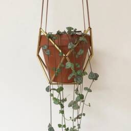 Brass Plant Hanger - thumbnail 3