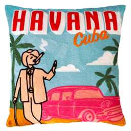 Havana Needlepoint Cushion - thumbnail 1