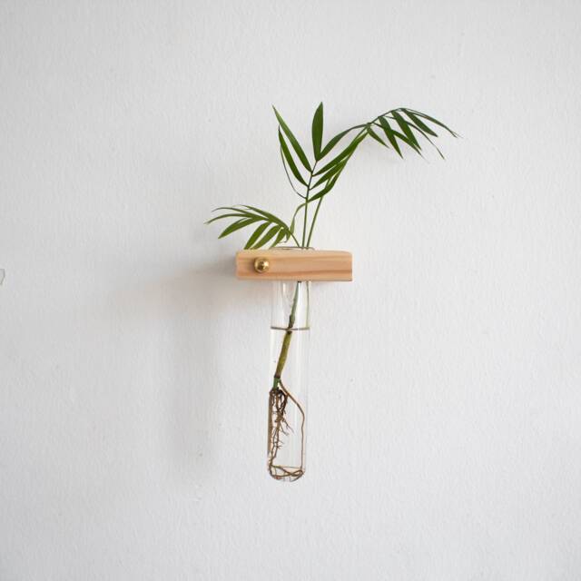 Plant Propagation Wall Hanging, Station Wall, Test Tube Planter, Hanging Propagation, Hanger, Holder - image 1