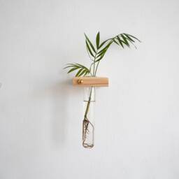 Plant Propagation Wall Hanging, Station Wall, Test Tube Planter, Hanging Propagation, Hanger, Holder - thumbnail 1