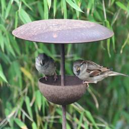 Rusty Metal Bird Feeder Stake - Garden Feeding Station Outdoor Wildlife Ornament Handmade Steel - thumbnail 3