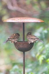 Rusty Metal Bird Feeder Stake - Garden Feeding Station Outdoor Wildlife Ornament Handmade Steel - thumbnail 1