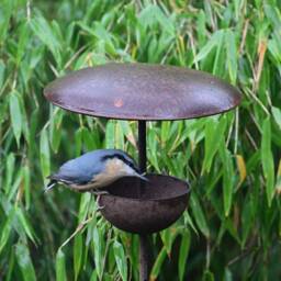 Rusty Metal Bird Feeder Stake - Garden Feeding Station Outdoor Wildlife Ornament Handmade Steel - thumbnail 2