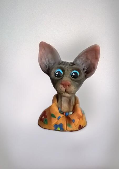 Sphynx Cat