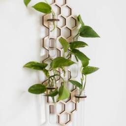 Honeycomb Wall Propagation Station - Three Sizes To Choose From Plant Lover Gifts - thumbnail 2