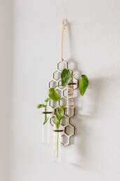 Honeycomb Wall Propagation Station - Three Sizes To Choose From Plant Lover Gifts
