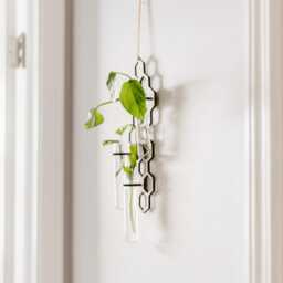 Honeycomb Wall Propagation Station - Three Sizes To Choose From Plant Lover Gifts - thumbnail 4