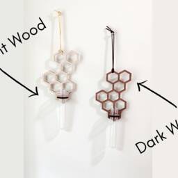 Honeycomb Wall Propagation Station - Three Sizes To Choose From Plant Lover Gifts - thumbnail 3