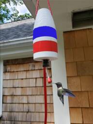 Humming Buoy - Feeder For Hummingbirds Red