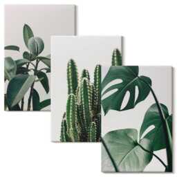 Canvas Set Of 3 - Tropical Houseplants Aesthetic Leaves, Green Wall Art Large, Plants & Flowers Hanging Piece - thumbnail 2