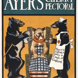 Three Bears Poster Vintage Cough Medicine Wellness Advert Print - thumbnail 2