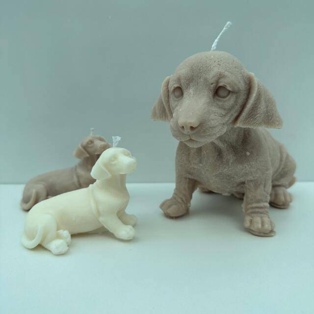 Handmade Dachshund Candle Soy Wax Sausage Dog Gift - image 1