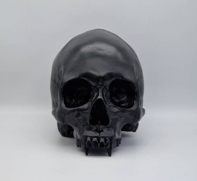 Black Vampire Skull .plaster Of Paris Life Size Human Replica - image 1