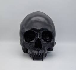 Black Vampire Skull .plaster Of Paris Life Size Human Replica - thumbnail 1