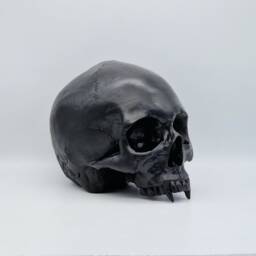 Black Vampire Skull .plaster Of Paris Life Size Human Replica - thumbnail 3