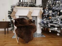 xl Brown Sheepskin Rug, Genuine Leather, Comfy Cozy Throw - 48x28