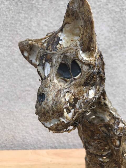 Bruiser The Zombie Chihuahua - image 1
