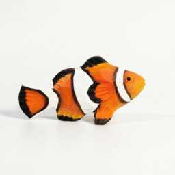 Hand Carved Wooden Clownfish Figurine, Nautical Nursery Decor, Tropical Sea Animal Sculpture, Painted Fish Ornament - thumbnail 2