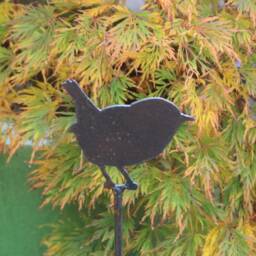 Rusty Metal Wren Garden Stake, Outdoor Decor, 11Th Anniversary Gift - thumbnail 2