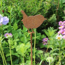 Rusty Metal Wren Garden Stake, Outdoor Decor, 11Th Anniversary Gift - thumbnail 1